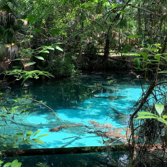 Meet your Posher, Kira - Picture 1 of 1